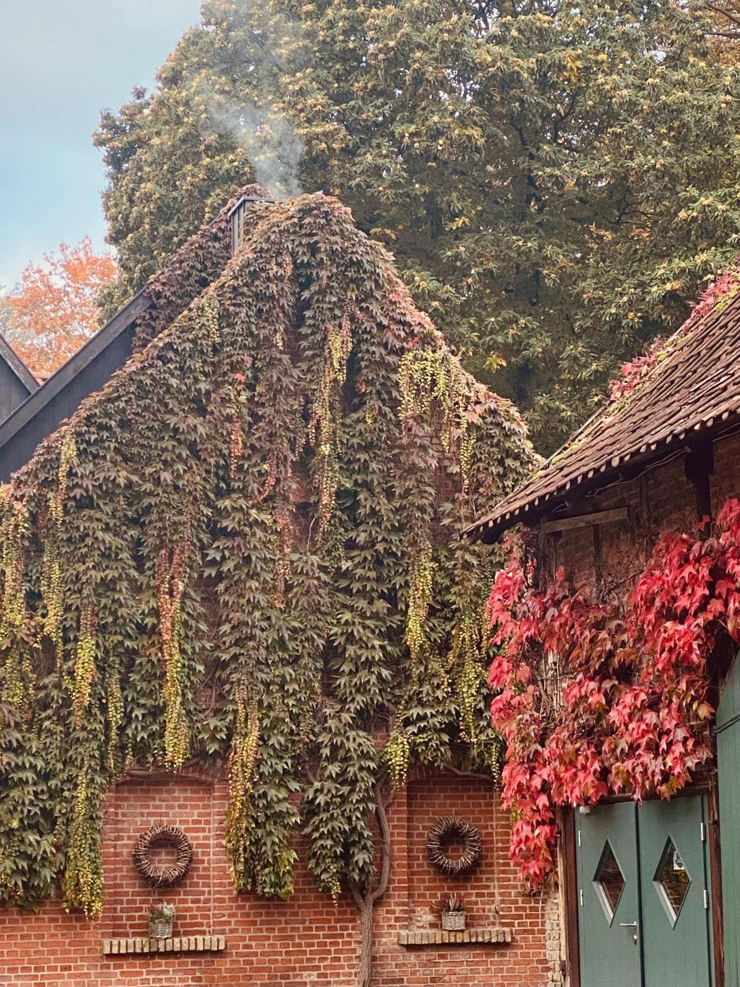 Landhaus Eggert Munster  Exterior foto
